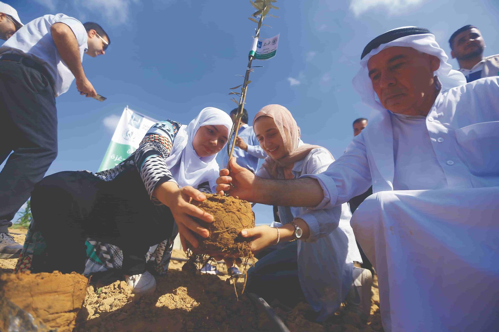 Palestine: Sadaqah Jariyah